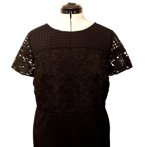 Talbot's Mixed Black Lace Fit-And-Flare Dress| SZ 16W - Picture 3 of 10